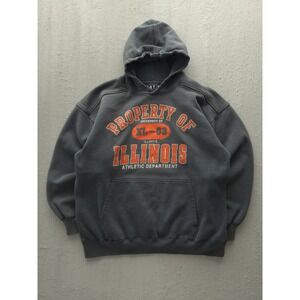 Vintage University Of Illinois Athletic Department Grey Hoodie Sweatshirt L Y2K